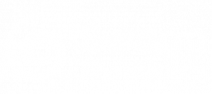 Swarm Dynamics